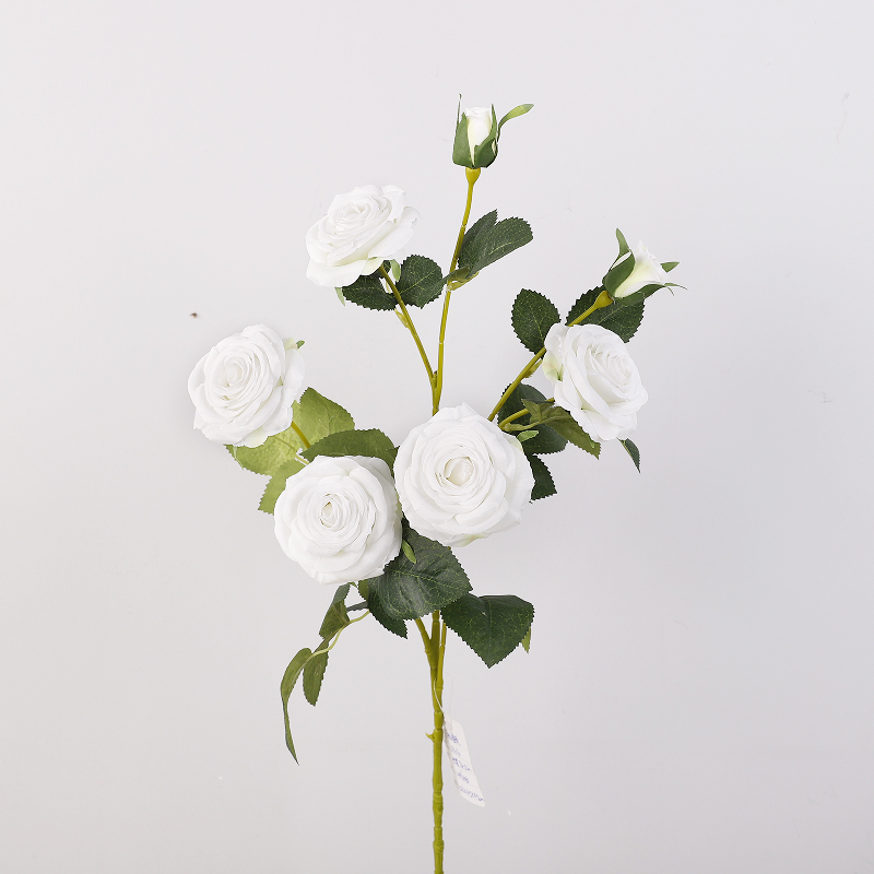 Blanc