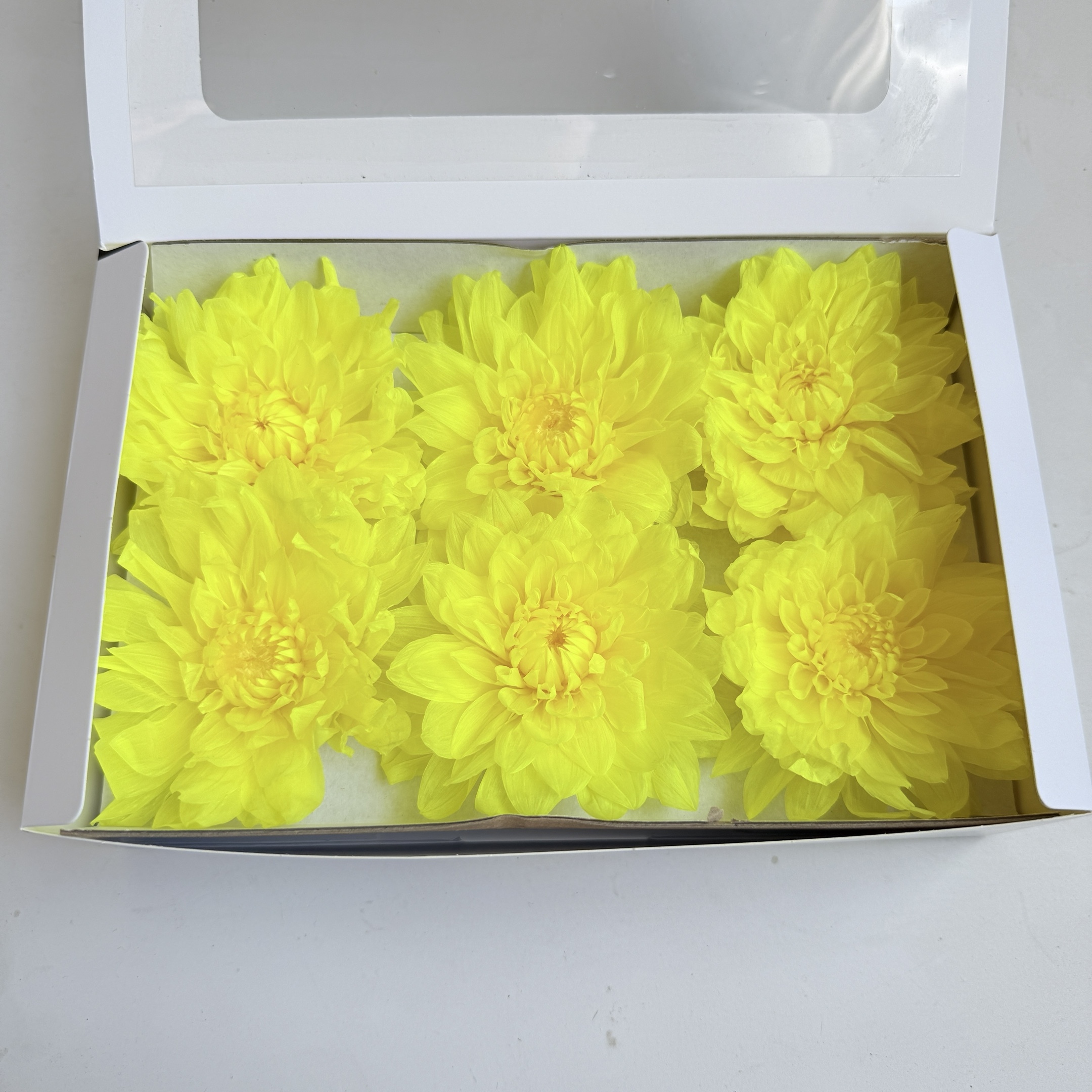 Giallo