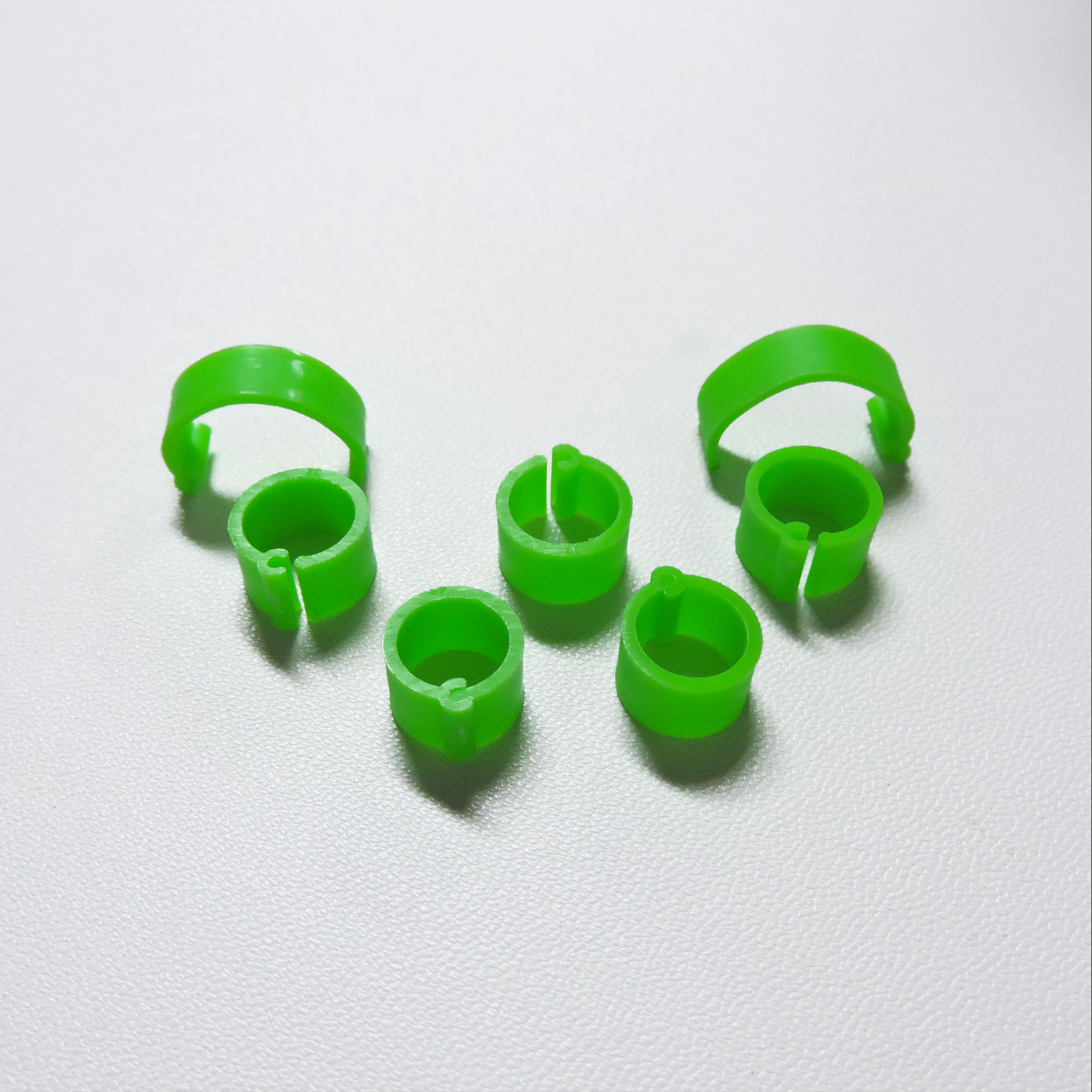 Vert