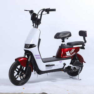 Neuankömmling 48v 350w E-Bike-Roller für Elektro fahrräder 3-Gang-Getriebe Bürstenlose Motor trommel bremspedale Blei-Säure-Batterie