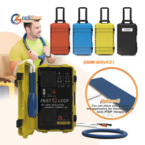 للاستخدام المنزلي PEMF حلقة PMST حلقة علاج مغناطيسي لآلة تخفيف آلام الإنسان الطبيب المغناطيسي علاج الحصان آلة - Product Image 1