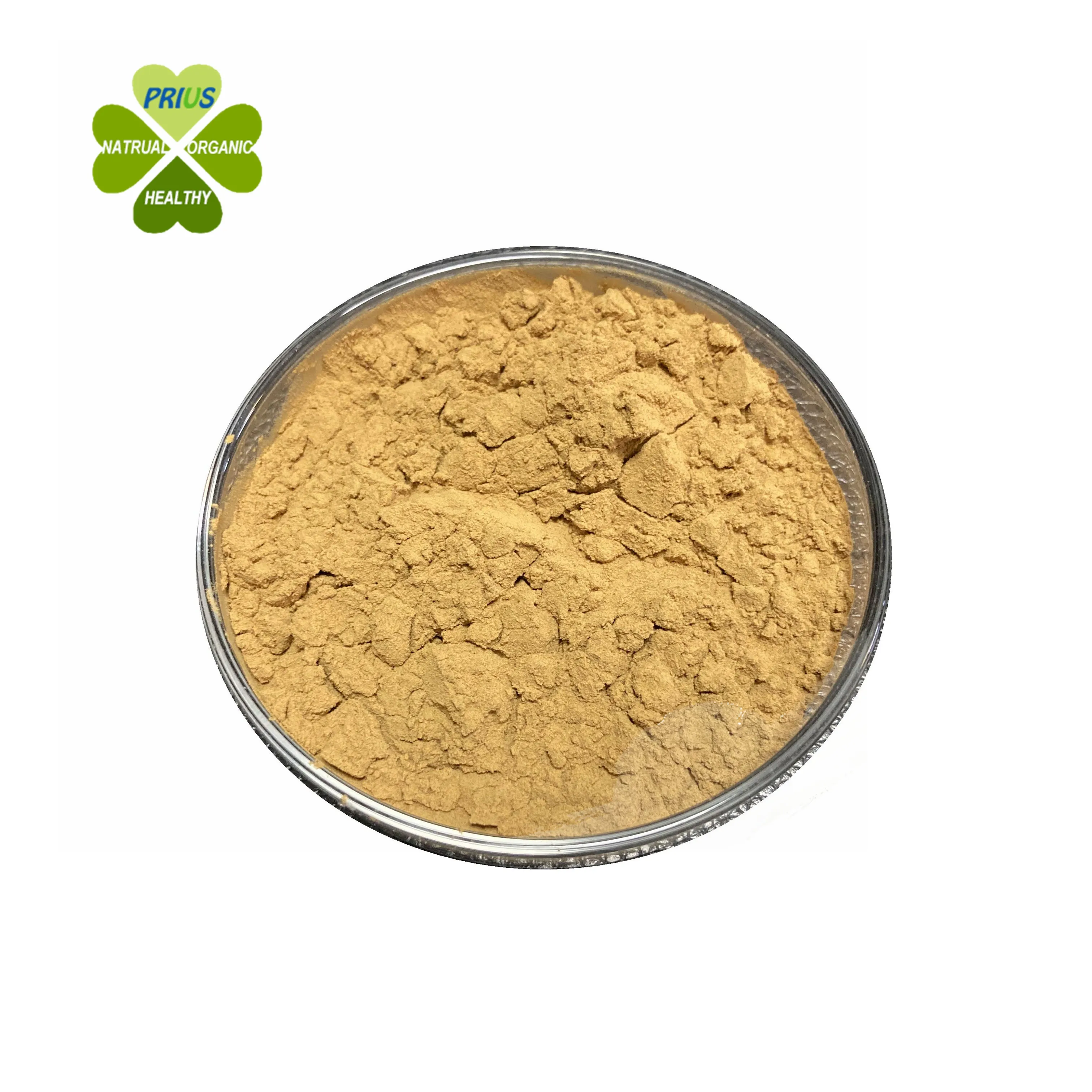 Fornecimento de fábrica extrato natural de planta 10:1 extrato de stevia em pó