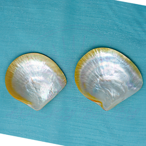 Doğal cilalı sarı sedef kabukları el sanatları takı - Product Image 6