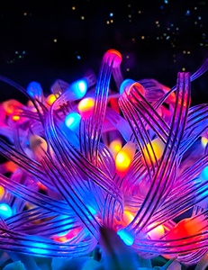 Smart RGB Led <strong>String</strong> Lights APP/Control Led Light <strong>Strings</strong> 5M Wedding Light - Product Image 5
