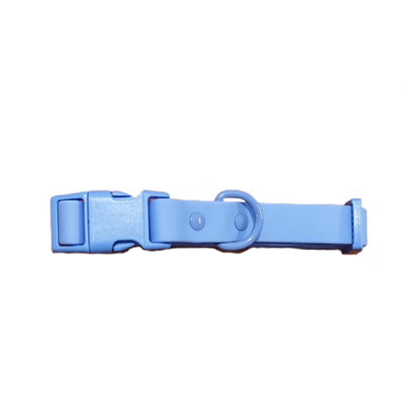 Baby Blue Collar
