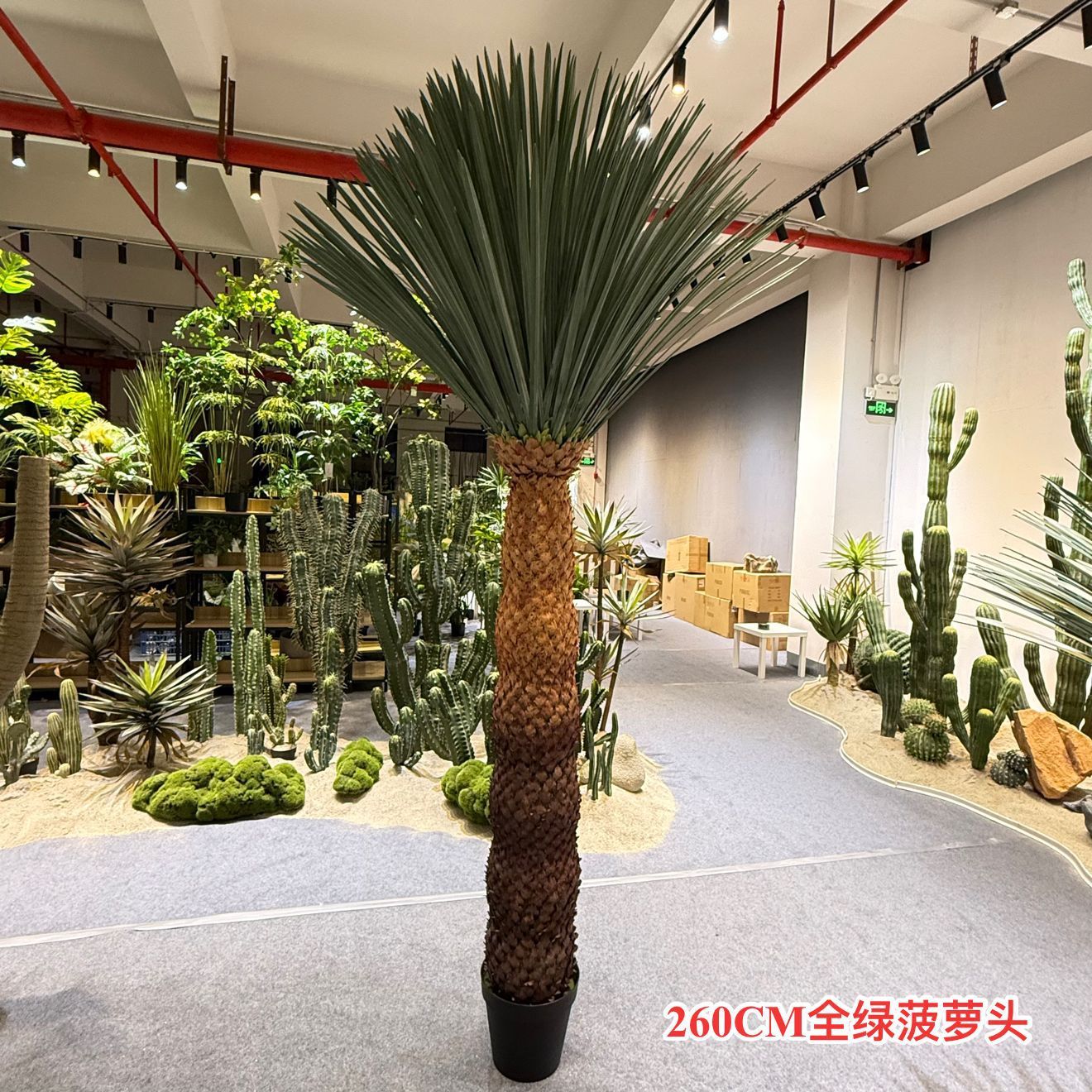 Tête d'ananas entièrement verte, 260 cm