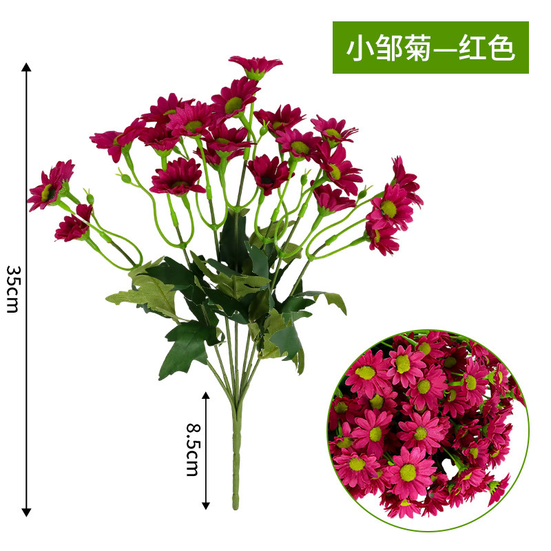 Les petits chrysanthèmes tenaient un bouquet de rouge