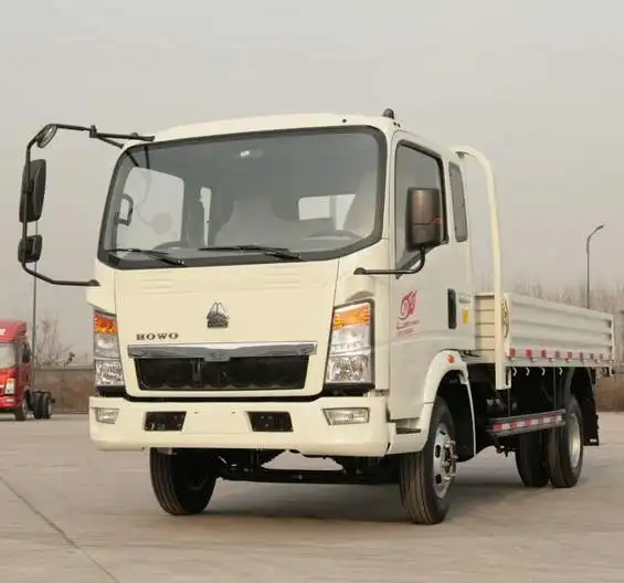 HOWO 4X2 4x4 120HP 168HP 미니 라이트 트럭