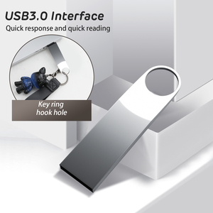 Kissin定制标志<span class=keywords><strong>USB</strong></span> 2.0棒128MB <span class=keywords><strong>256MB</strong></span> 512MB 1GB 2GB 4GB 8GB 16GB 32GB Pendrive 64GB金属银Pendrive <span class=keywords><strong>USB</strong></span>闪存驱动器