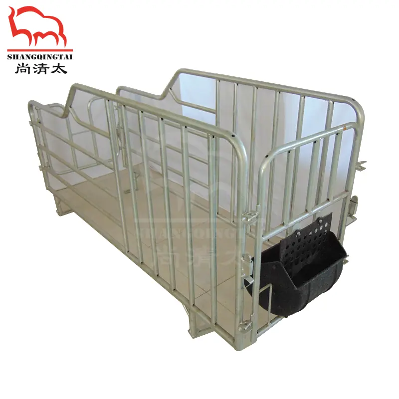 sow gestation stall animal cages modern pig farming equipment factories customization wholesale piggery equipment pig pen