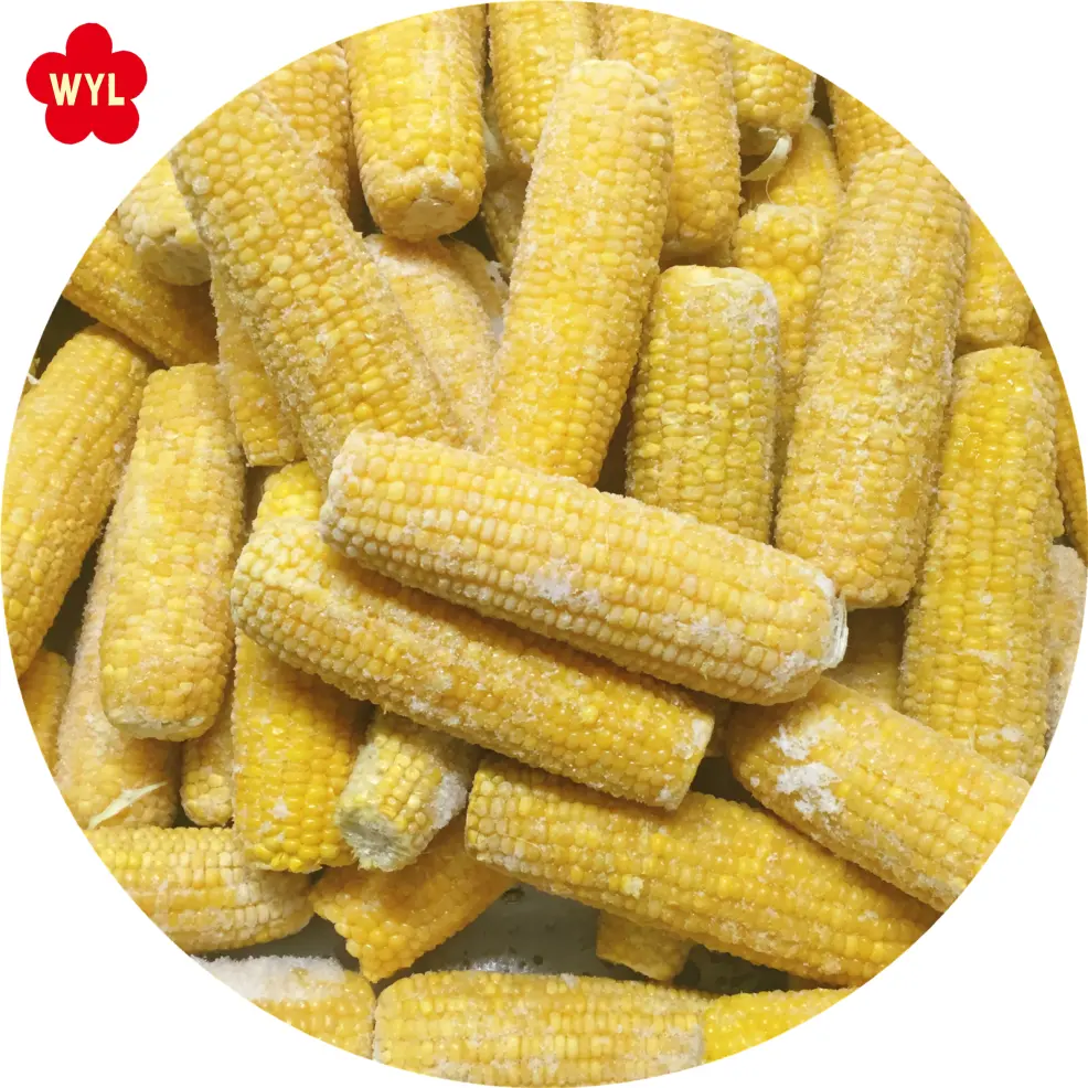 Mazorca de maíz dulce, pescado, precio de fábrica