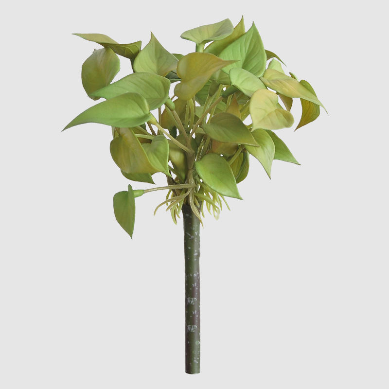 Red palm leaf feel-green