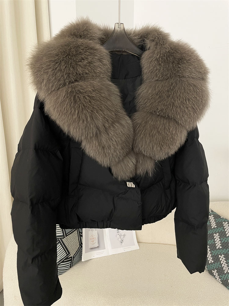 Black Fox grey