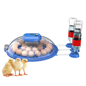 Couveuse poussins automatique otomatik kümesçilik kuluçka makinesi ucuz fiyat incubadoras para incubar huevos - Product Image 1