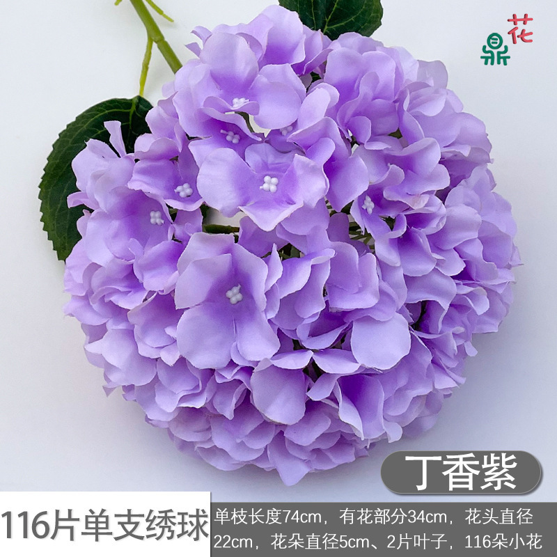 116 pétales par tige, violet lilas