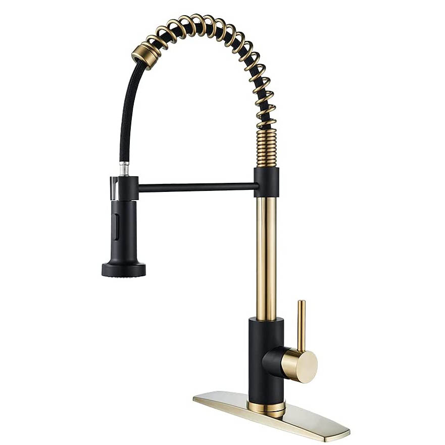Robinets de cuisine Gold + Black avec plaque