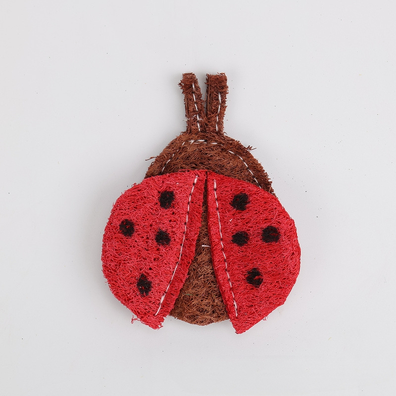 Coccinelle