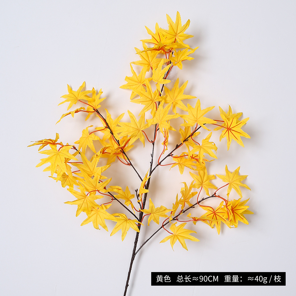 Yellow maple leaves