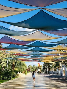Vela parasol de HDPE de alta calidad, sombreado de jardín de gran tamaño, documentos relacionados, imágenes que se compran, notas de comunicación creadas - Product Image 5