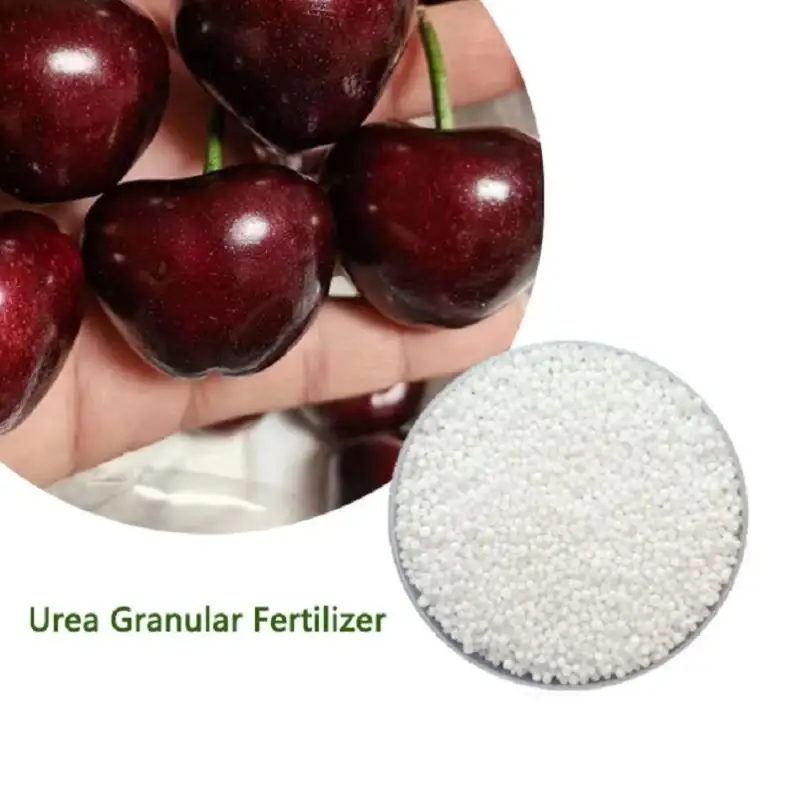 Agricoltura Standard pianta o frutta bianco fertilizzante granulare magnesio Ca licio nitrato