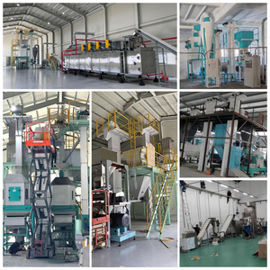 Saatte 1 ton kapasite güçlendirilmiş pirinç yapma makinesi ikiz vida güçlendirilmiş anında karnabahar un karabuğday pirinç makinesi - Product Image 5