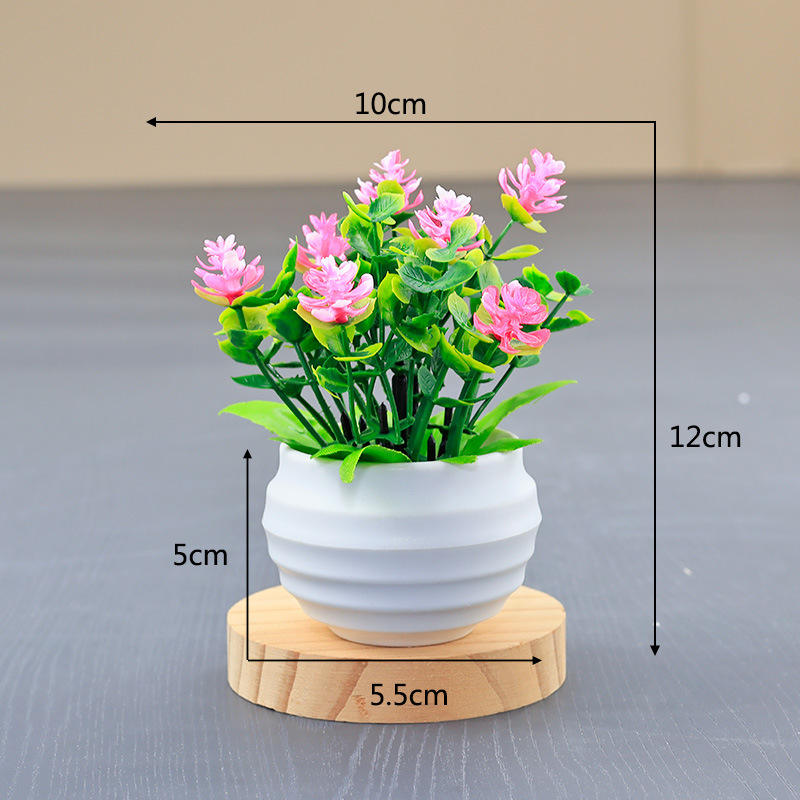 coupe de football blanche + rose eucalyptus