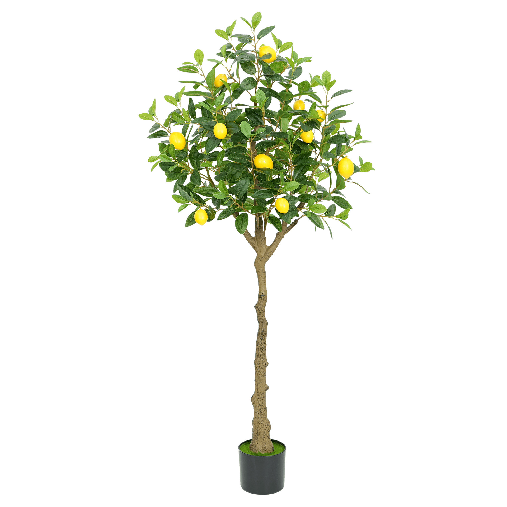 Verde-150 cm