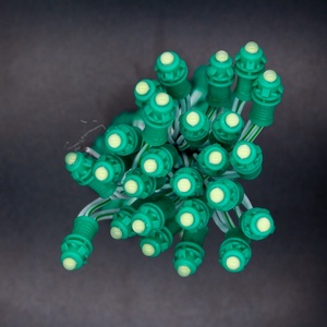 Prezzo di fabbrica singolo colore e colore completo 9mm <span class=keywords><strong>LED</strong></span> stringa di luce DC 12V giardino <span class=keywords><strong>Pixel</strong></span> modulo