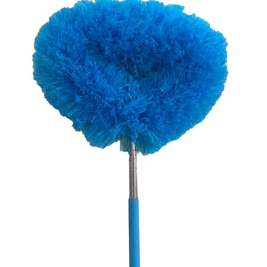 Large Blue Size (85g)