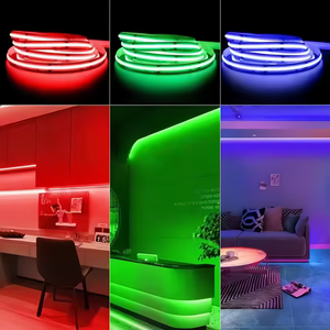 多色RGB CCT RGBW RGBCCT RGBIC COB发光二极管条形灯制造商柔性12V 24v装饰照明用发光二极管COB带 - Product Image 2