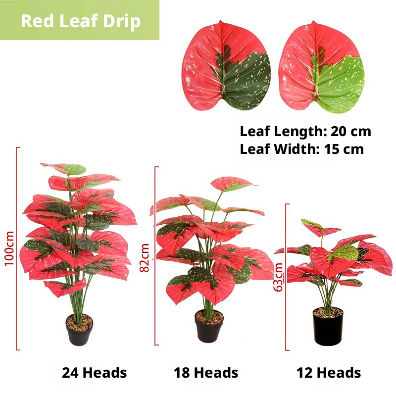 Red Leaves Dripping Water