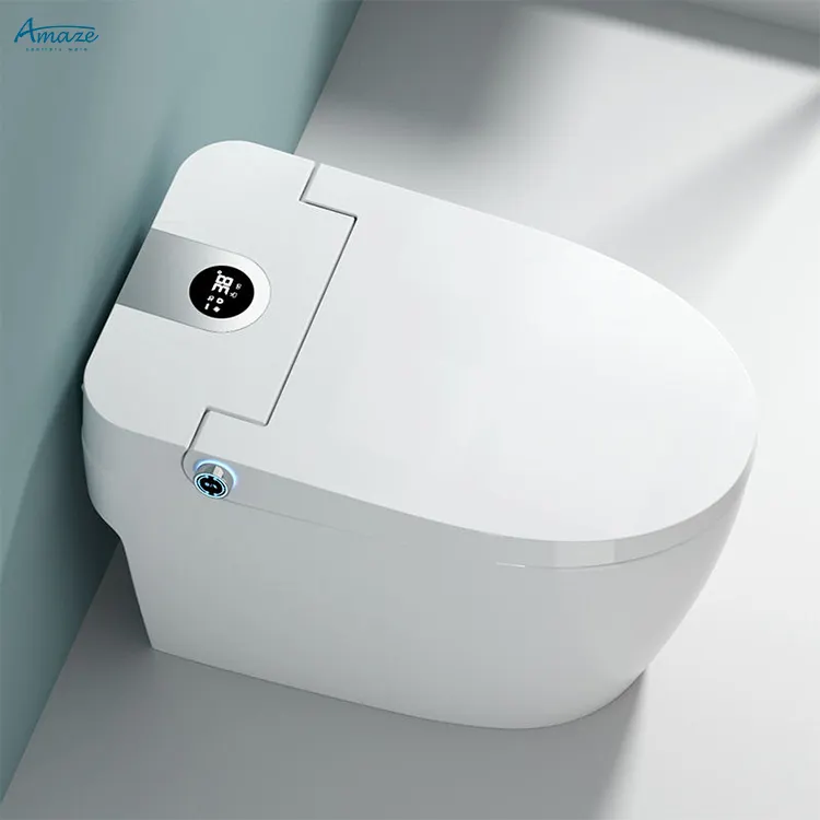 Usine en gros 110V/220V automatique intelligent toilette intégré électrique bidet siphon avec réservoir d'eau toilette intelligente