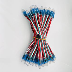 RGB Full Color <strong>WS2811</strong> RGBIC DC5V 0.3W Addressable <strong>LED</strong> Light <strong>String</strong> 12V GS8208 RGB Bullet <strong>Led</strong> <strong>Pixel</strong> Light <strong>String</strong> - Product Image 1