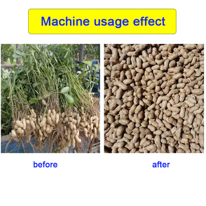 Máquina separadora de cacahuetes de fábrica de China/máquina separadora de cáscara de cacahuetes/trilladora de cacahuetes - Product Image 2