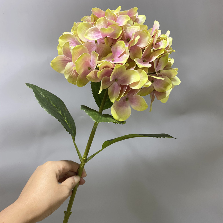 80cm single-headed hydrangea goose yellow