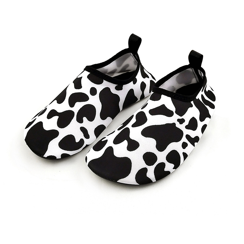 dairy cow