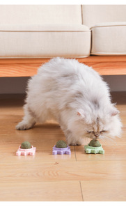 Juguete de hierba gatera para mascotas más vendido, forma de aguacate, hierba gatera desmontable giratoria, juguete interactivo para masticar y limpiar dientes para gatos - Product Image 5