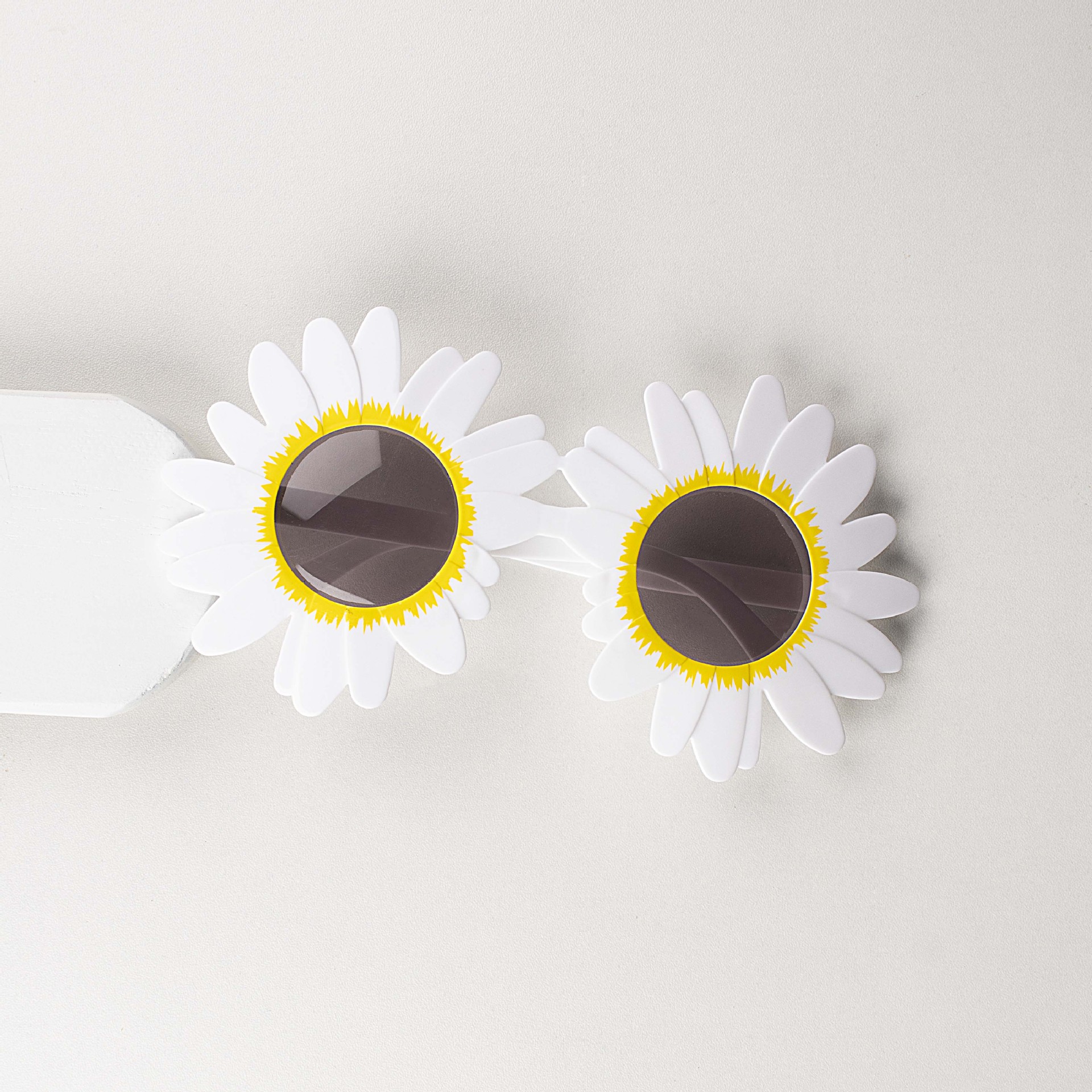 Tournesol blanc (plus de couleurs dans le magasin)