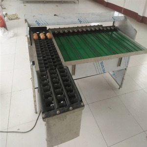 Máquina clasificadora automática de huevos de pato de alta eficiencia/Clasificador de huevos de 10000 piezas por hora/máquina clasificadora electrónica de huevos - Product Image 3