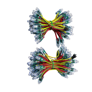 Waterdichte Outdoor Dot Smart Full Color 12Mm 5V 12V Ws2811 Ucs1903 Sm16703 50Pcs 50Pixels Rgb Kerst <span class=keywords><strong>Pixel</strong></span> <span class=keywords><strong>Led</strong></span> <span class=keywords><strong>String</strong></span> Light - Product Image 1