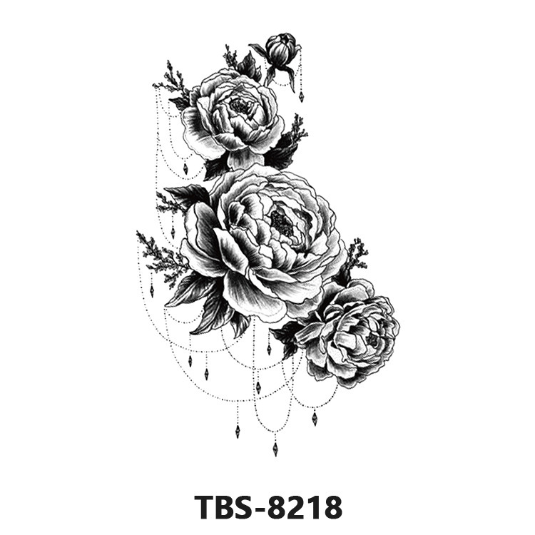 TBS8218