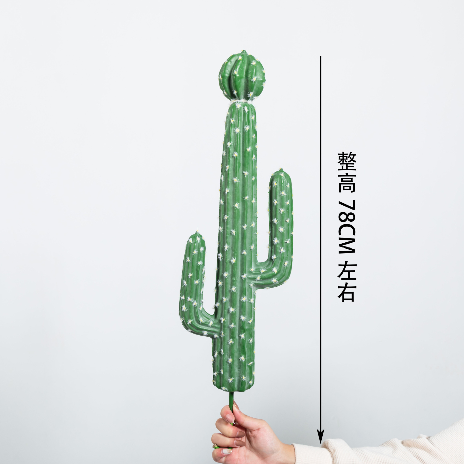 Paquete de cactus espinoso blanco - tamaño grande