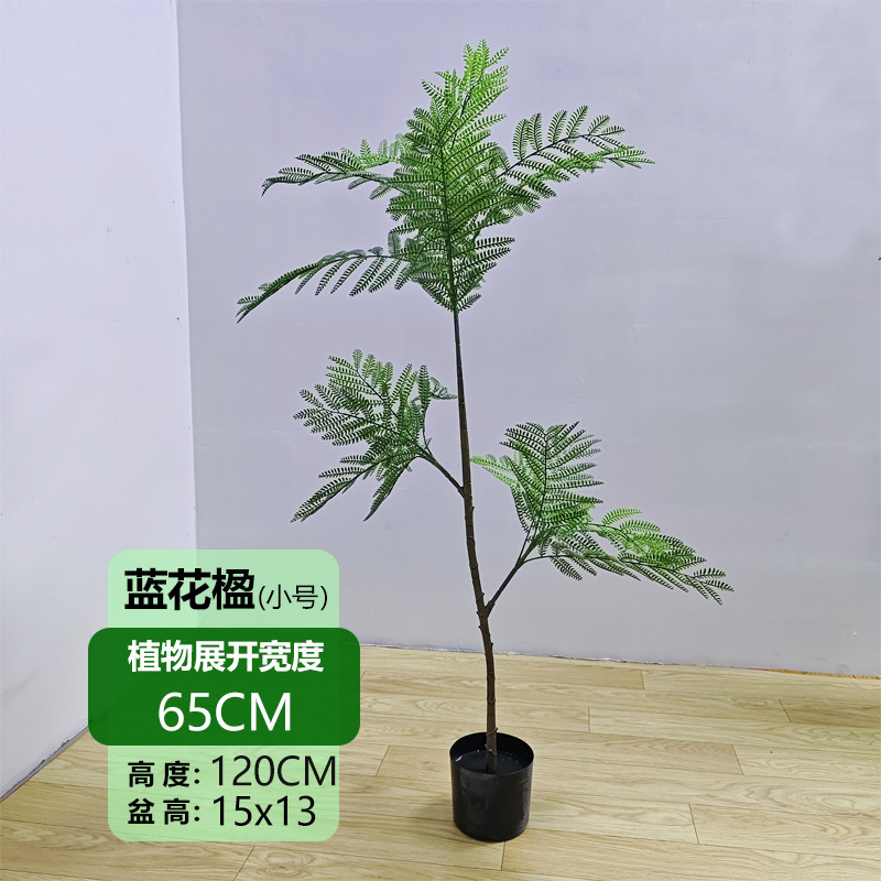 Jacaranda de luxe léger 120CM