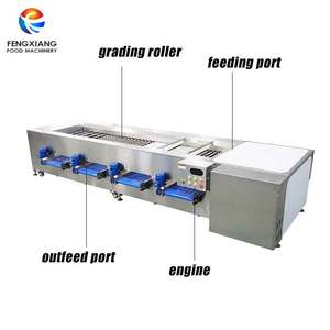 Factory Automatic Roller Fruit Vegetable <strong>Sorting</strong> <strong>and</strong> Grading <strong>Machine</strong> Potatoes Corn Sweet Potato Taro <strong>Sorting</strong> <strong>Machine</strong> - Product Image 2