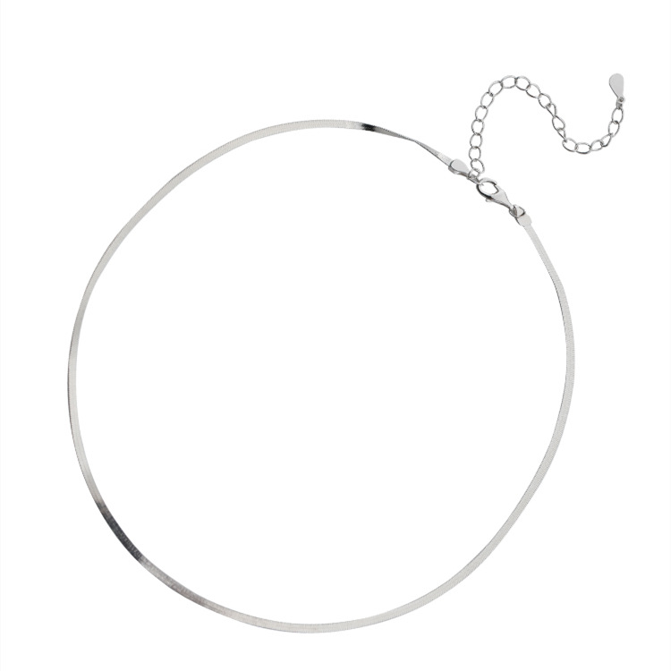 Silver flat snake slice chain necklace