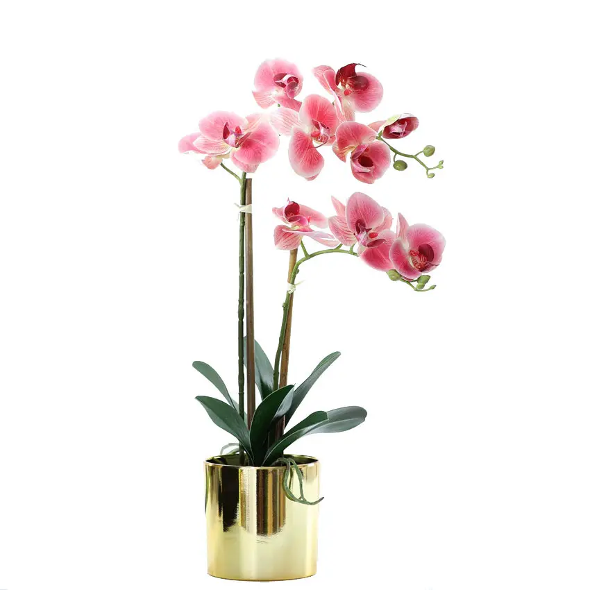 Real Touch Orchid Flower with Pot Show Room Decor Artificial Flowers for Decoration Hot Sale Classic White Pink and Blue 2pcs XF