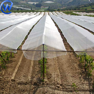 Polypropylen Sonnenschutz Hagel Netz Landwirtschaft Kunststoff Anti Hagel Schutz Netz Jemen Anti Hagel Netz für Apfel Trauben baum
