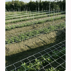 Reticolato flessibile per tutte le stagioni per rete di corde per tutte le stagioni per rete vegetale materiale in Nylon per la coltivazione di viti da giardino - Product Image 5
