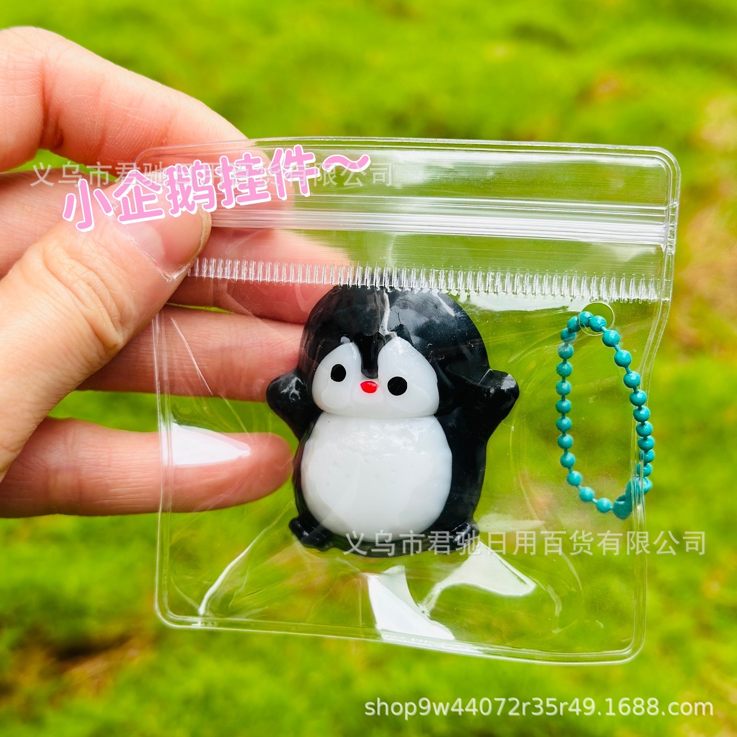 Pequeño pingüino con una pequeña nariz