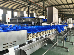 Automatic <strong>Sorting</strong> Weight Grading <strong>Machine</strong> - Product Image 4